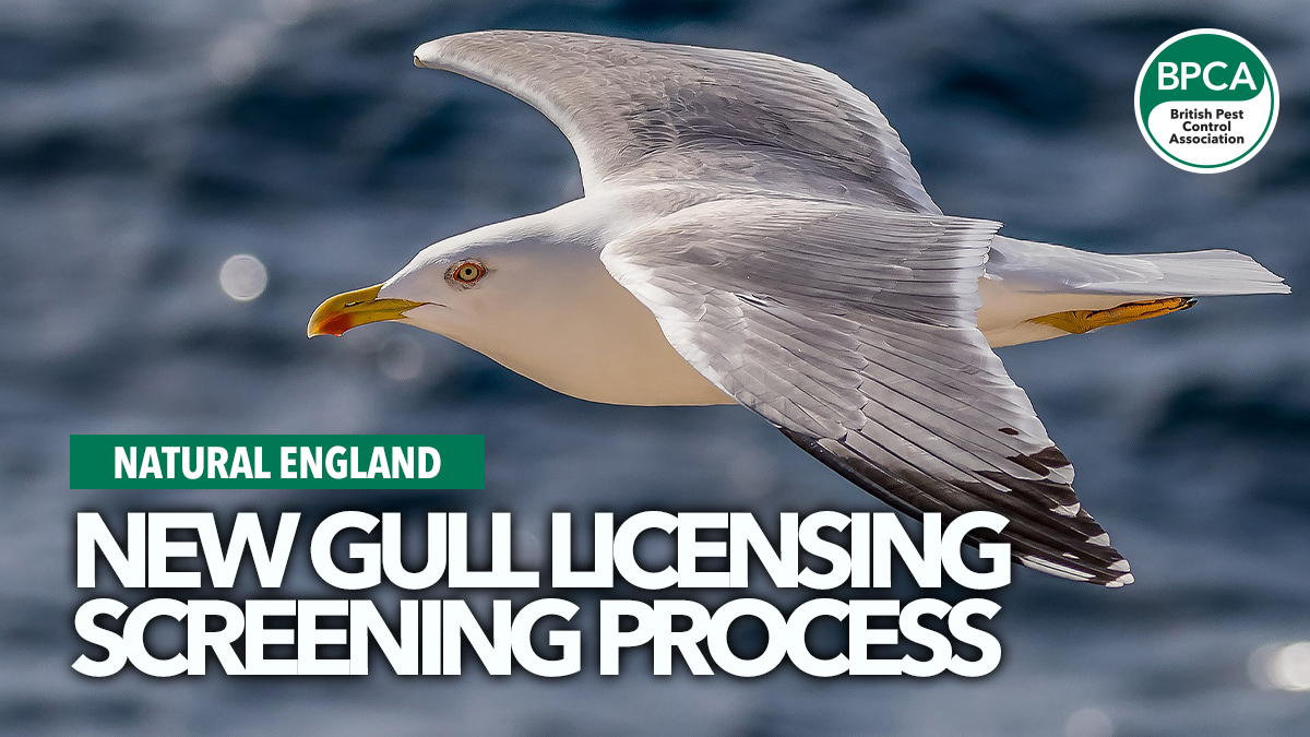 natural-england-screening-process